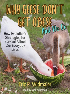 cover image of Why Geese Don't Get Obese (And We Do)